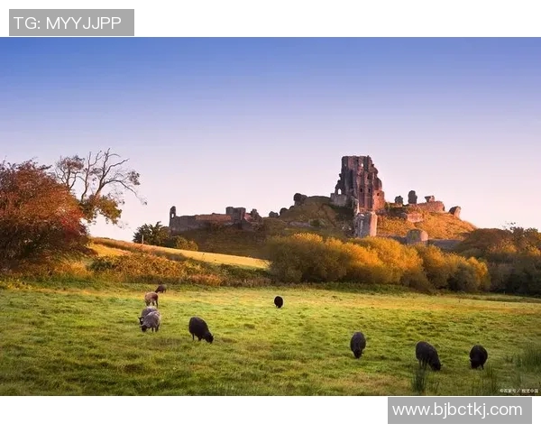 布莱克尼的神秘魅力探寻与历史遗迹的交织之旅
