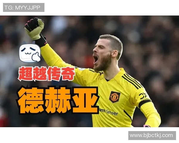 德赫亚号码背后的故事与传奇解析这位门神的职业生涯与成就