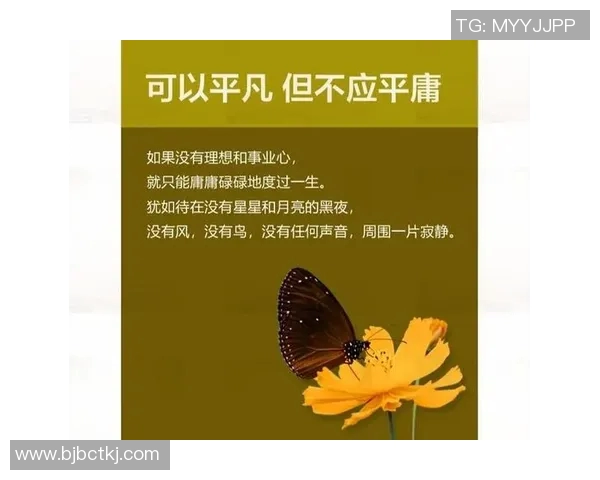 方凤娣的奋斗历程与人生哲学探索：从平凡到卓越的心路历程