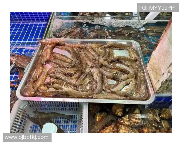 青岛国信水产推出新品种斑鱼，受到消费者热烈追捧