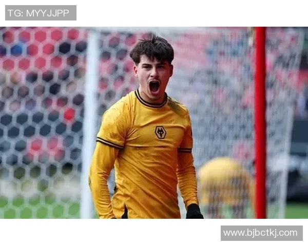 狼队迎战伊普斯维奇力争主场胜利展现强大实力